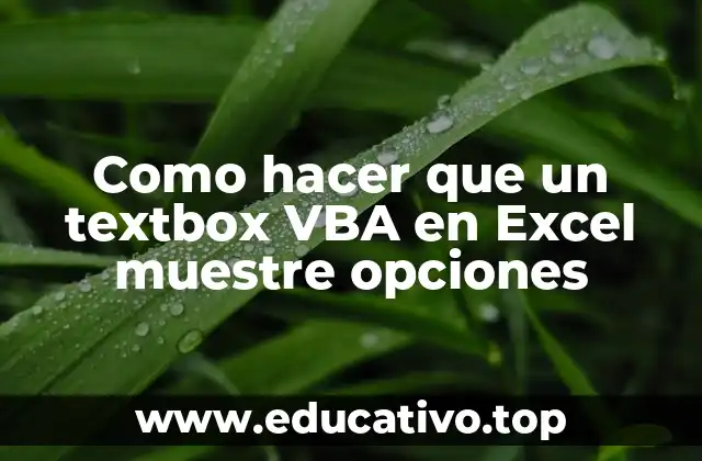 Como hacer que un textbox VBA en Excel muestre opciones
