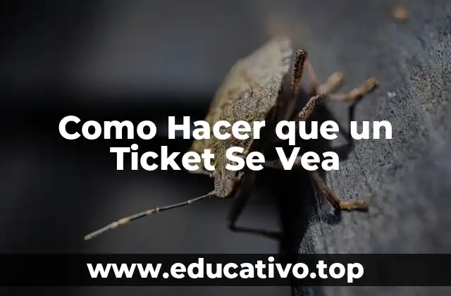 Como Hacer que un Ticket Se Vea