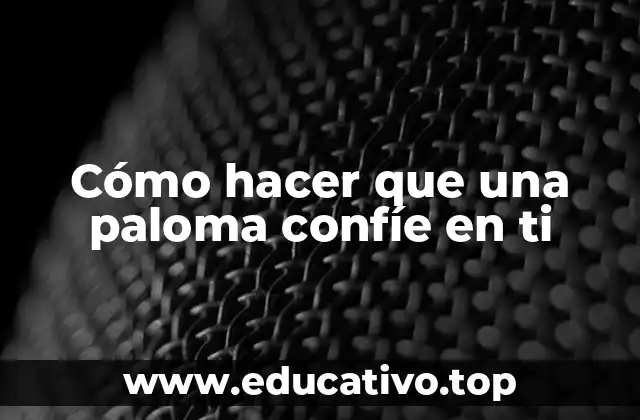 Cómo hacer que una paloma confíe en ti