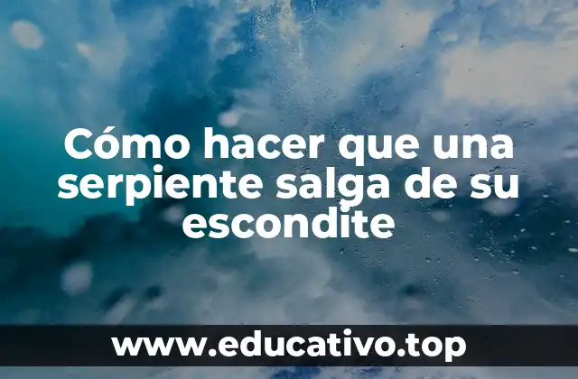 Cómo hacer que una serpiente salga de su escondite
