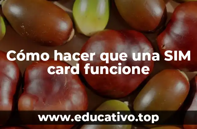 Cómo hacer que una SIM card funcione