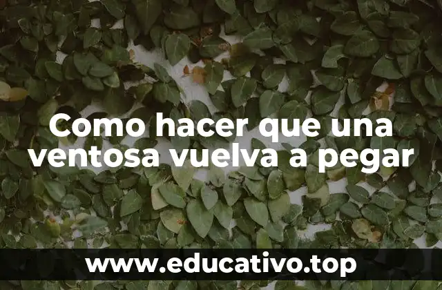 Como hacer que una ventosa vuelva a pegar