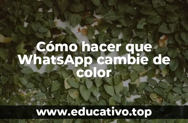Cómo hacer que WhatsApp cambie de color