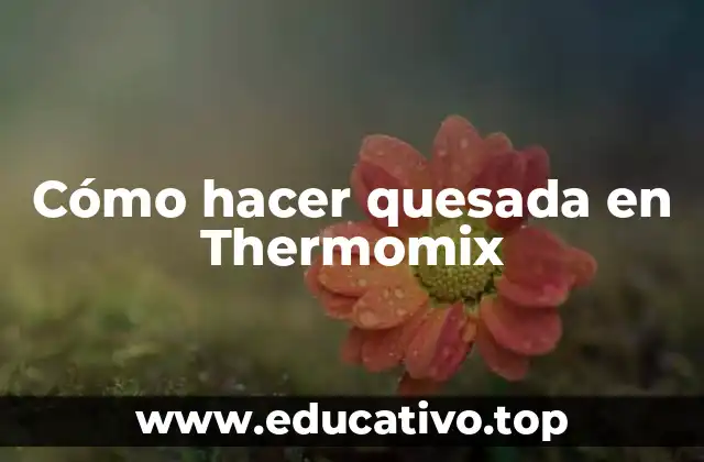Cómo hacer quesada en Thermomix