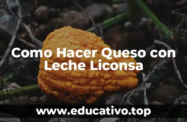 Como Hacer Queso con Leche Liconsa