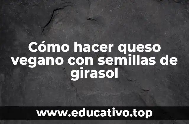 Cómo hacer queso vegano con semillas de girasol