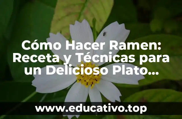 Cómo Hacer Ramen: Receta y Técnicas para un Delicioso Plato Japonés