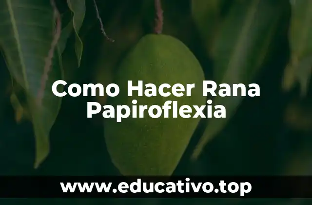 Como Hacer Rana Papiroflexia