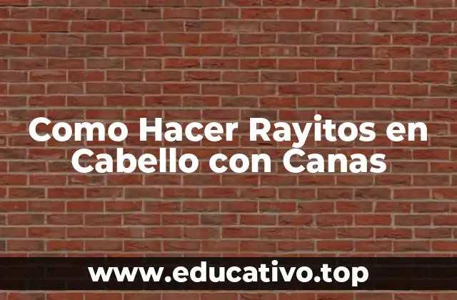 Como Hacer Rayitos en Cabello con Canas