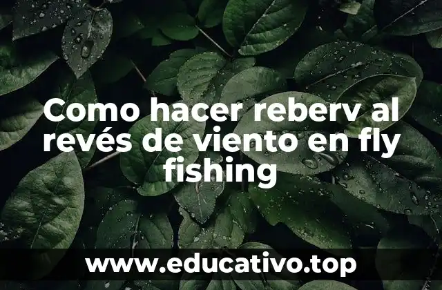Como hacer reberv al revés de viento en fly fishing