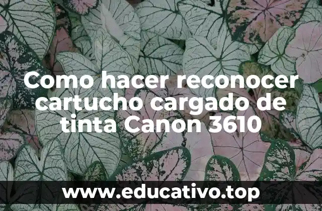Como hacer reconocer cartucho cargado de tinta Canon 3610