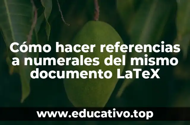 Cómo hacer referencias a numerales del mismo documento LaTeX