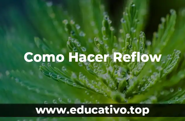 Como Hacer Reflow