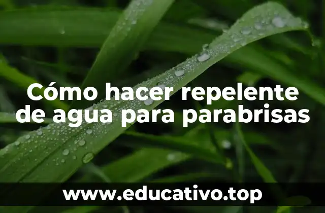 Cómo hacer repelente de agua para parabrisas