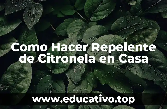 Como Hacer Repelente de Citronela en Casa