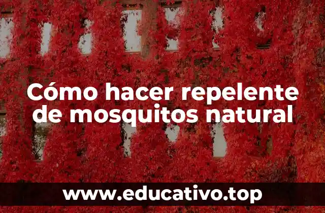 Cómo hacer repelente de mosquitos natural