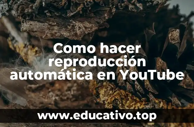 Como hacer reproducción automática en YouTube
