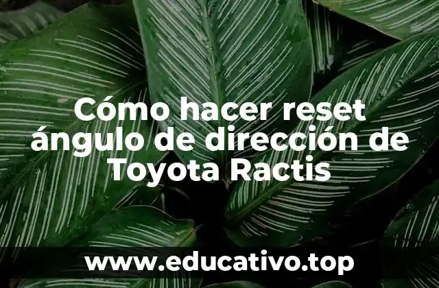Cómo hacer reset ángulo de dirección de Toyota Ractis