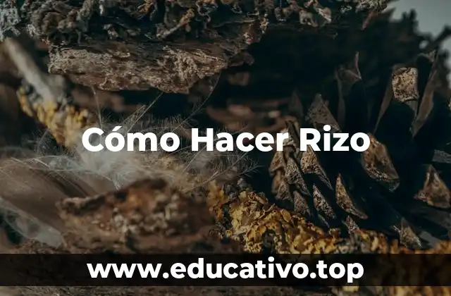 Cómo Hacer Rizo