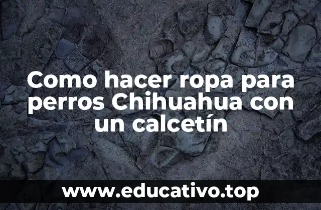 Como hacer ropa para perros Chihuahua con un calcetín