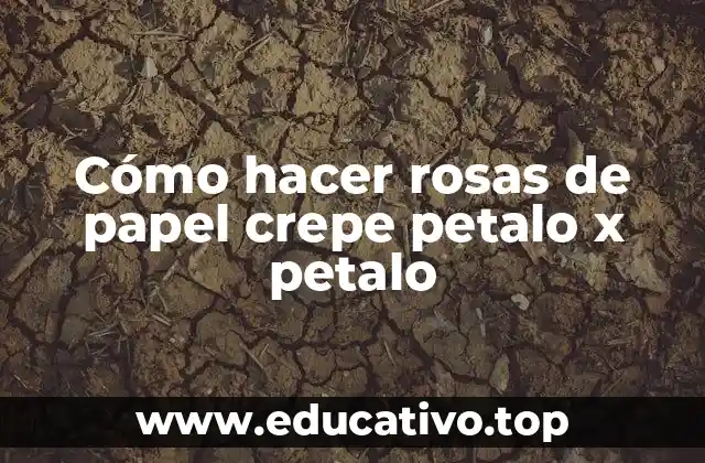 Cómo hacer rosas de papel crepe petalo x petalo