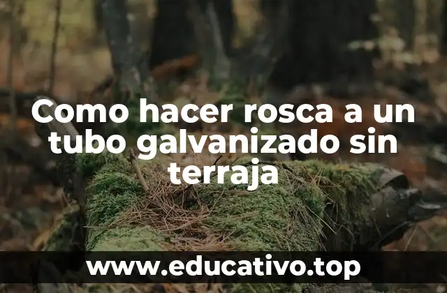 Como hacer rosca a un tubo galvanizado sin terraja