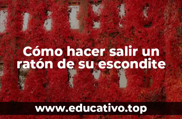 Cómo hacer salir un ratón de su escondite