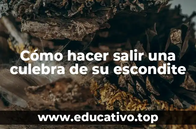 Cómo hacer salir una culebra de su escondite