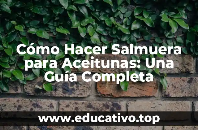 Cómo Hacer Salmuera para Aceitunas: Una Guía Completa