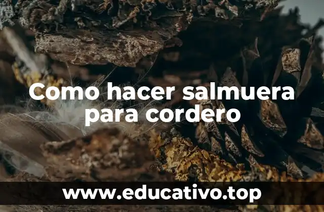 Como hacer salmuera para cordero