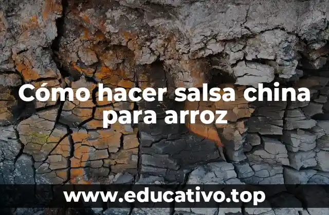 Cómo hacer salsa china para arroz