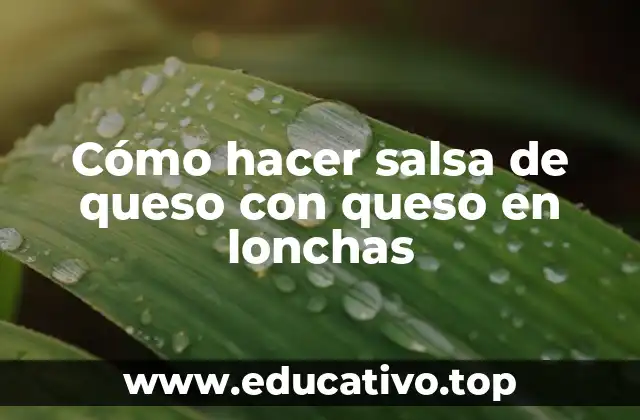 Cómo hacer salsa de queso con queso en lonchas