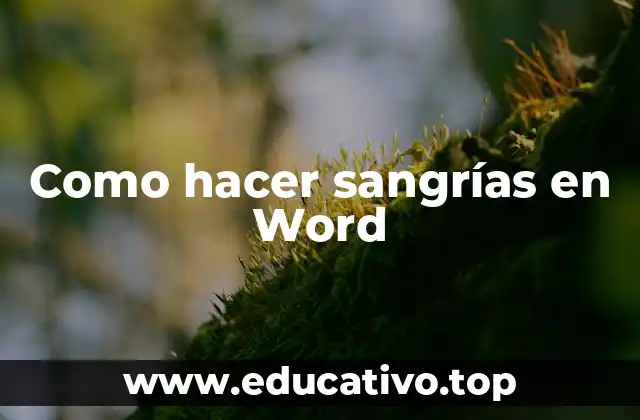Como hacer sangrías en Word