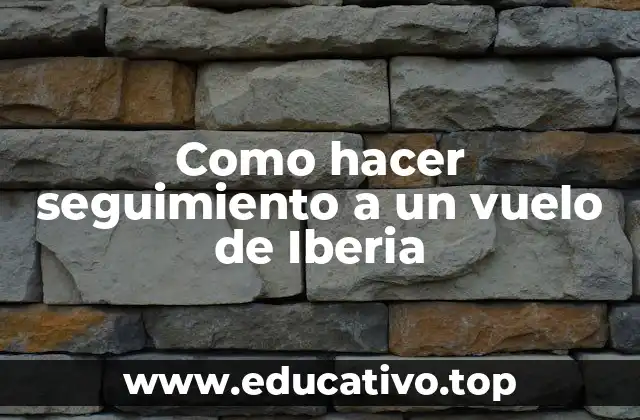 Como hacer seguimiento a un vuelo de Iberia