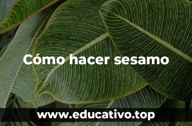 Cómo hacer sesamo