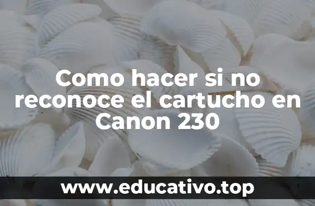 Como hacer si no reconoce el cartucho en Canon 230