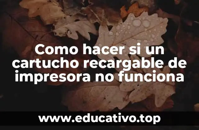 Como hacer si un cartucho recargable de impresora no funciona