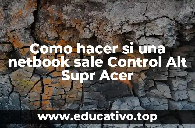 Como hacer si una netbook sale Control Alt Supr Acer