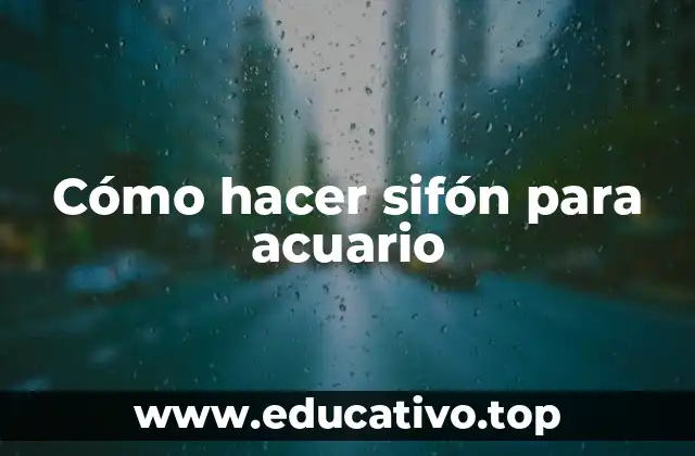 Cómo hacer sifón para acuario