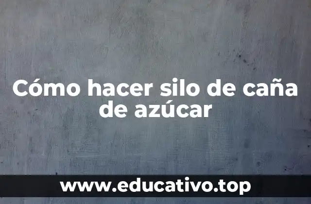 Cómo hacer silo de caña de azúcar
