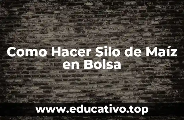 Como Hacer Silo de Maíz en Bolsa