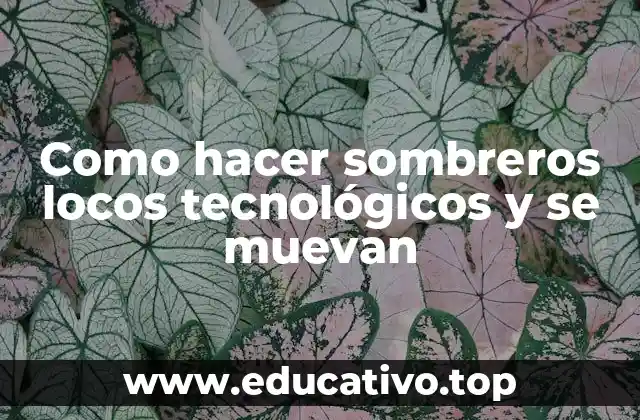 Como hacer sombreros locos tecnológicos y se muevan