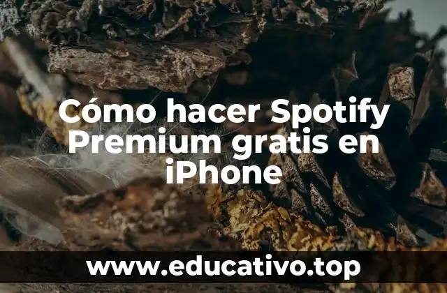 Cómo hacer Spotify Premium gratis en iPhone