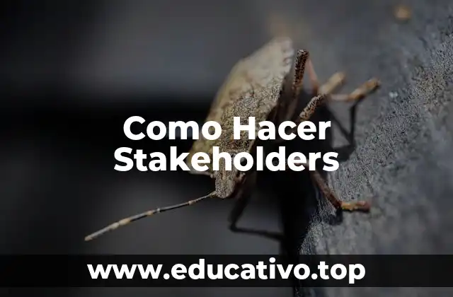 Como Hacer Stakeholders