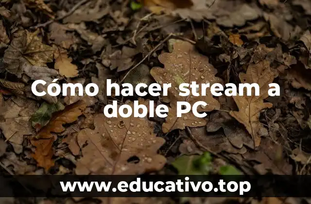 Cómo hacer stream a doble PC