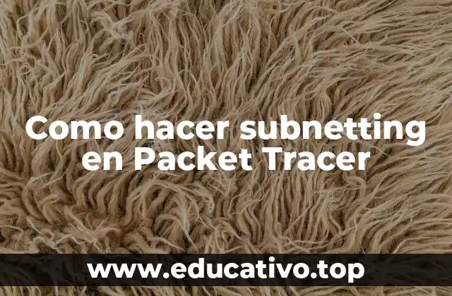 Como hacer subnetting en Packet Tracer