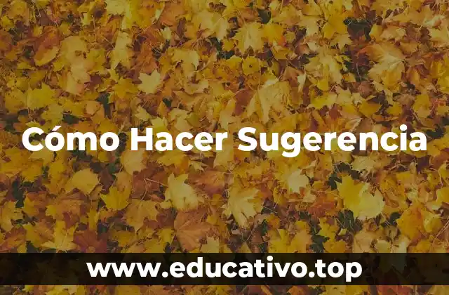 Cómo Hacer Sugerencia