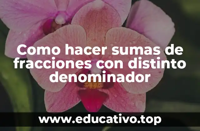 Como hacer sumas de fracciones con distinto denominador