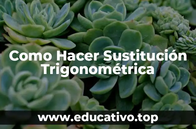 Como Hacer Sustitución Trigonométrica