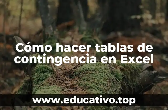 Cómo hacer tablas de contingencia en Excel